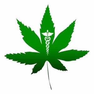 Marijuana Comes to Minnesota