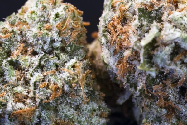 How to make canna butter