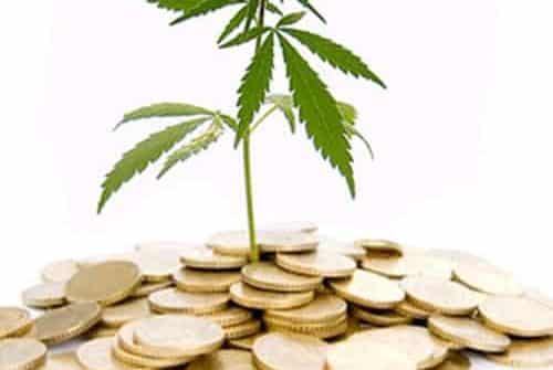 Cannabis Investment