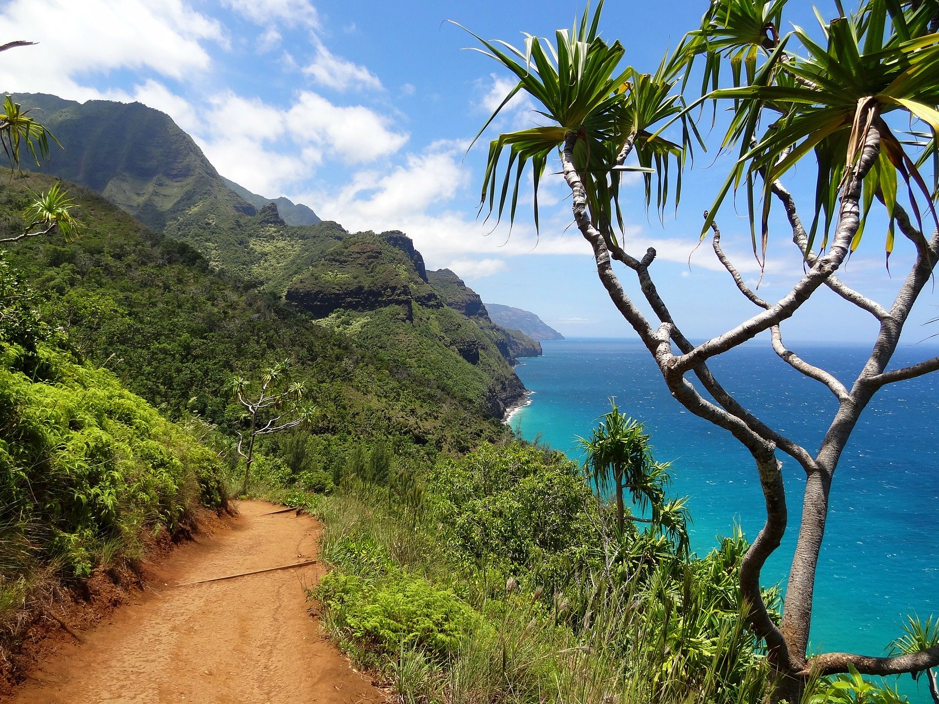 My Travels to Hawaii – A Hawaiian Cannabis Consultant’s Tale