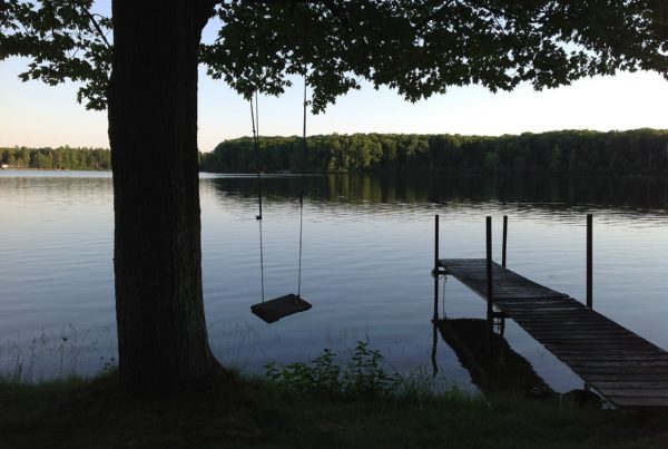 Michigan Cannabis Consulting Firm