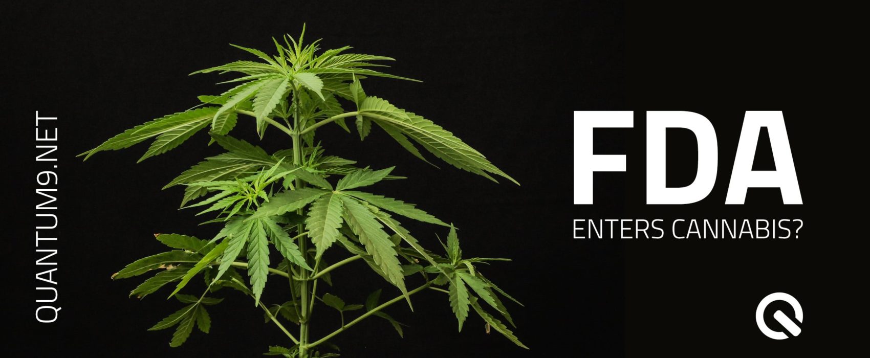 FDA Enters Cannabis