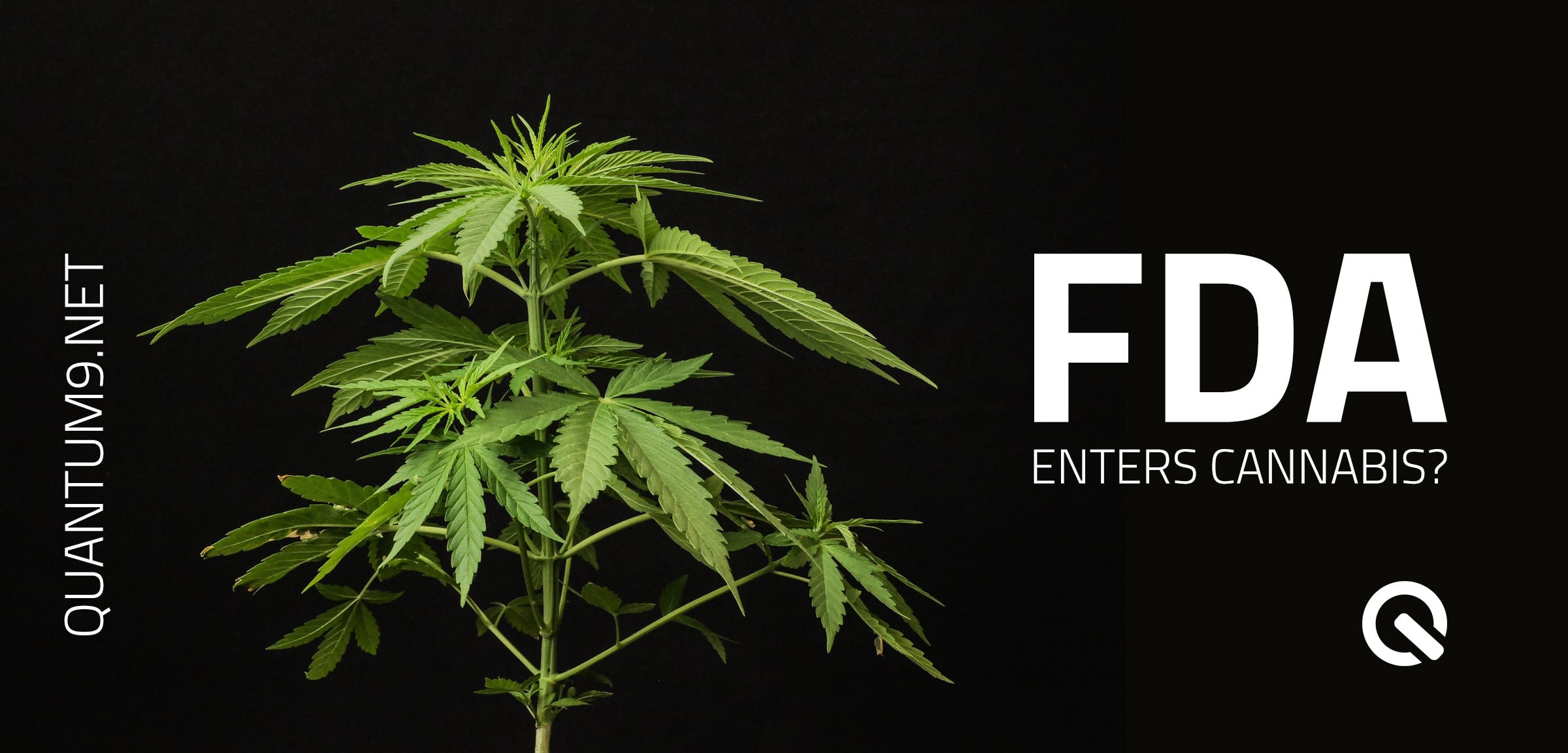 FDA Enters Cannabis
