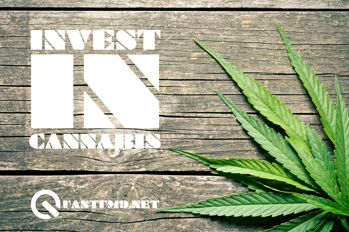 Invest in Cannabis Investment Consultant