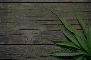 Cannabis Letter of Recommendation