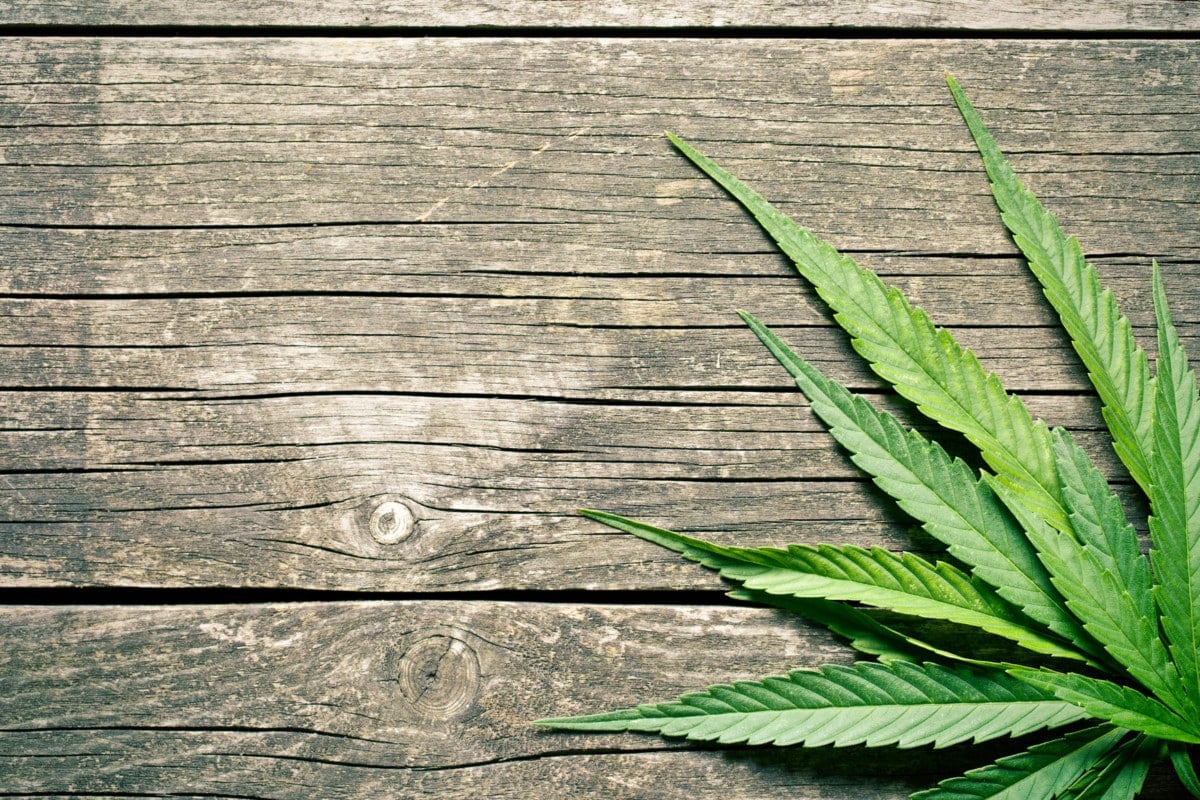 10 Marijuana Strains and Their Medical Benefits