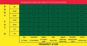 how long does thc stay in your system calculator