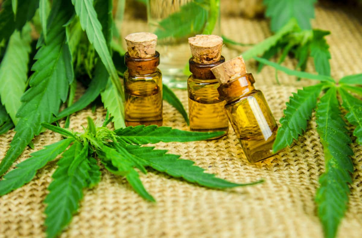 What to Know About Cannabis Oil for Pain Management