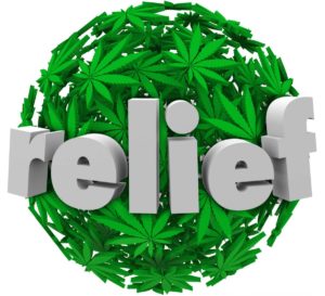 cannabis oil for pain