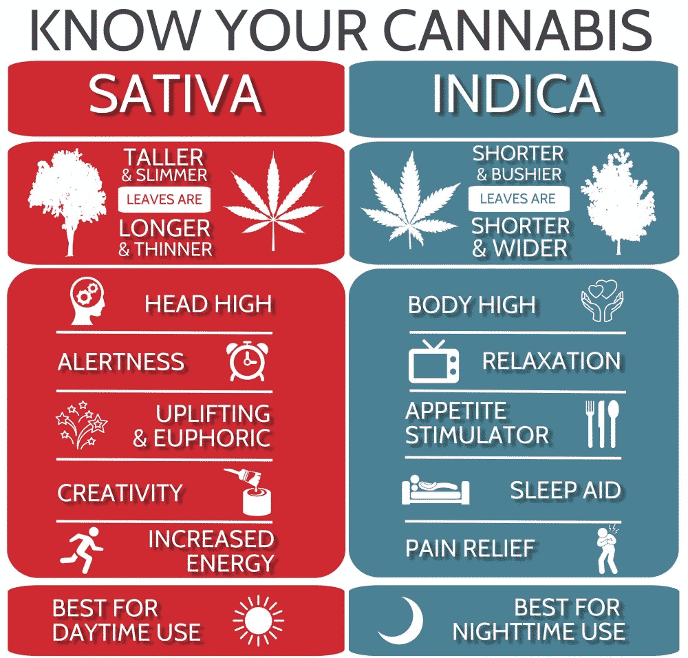 Indica vs. Sativa A Guide to Telling Them Apart Quantum 9, Inc.