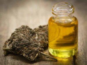 benefits of cannabis oil
