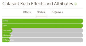Cataract Kush Medical Effects
