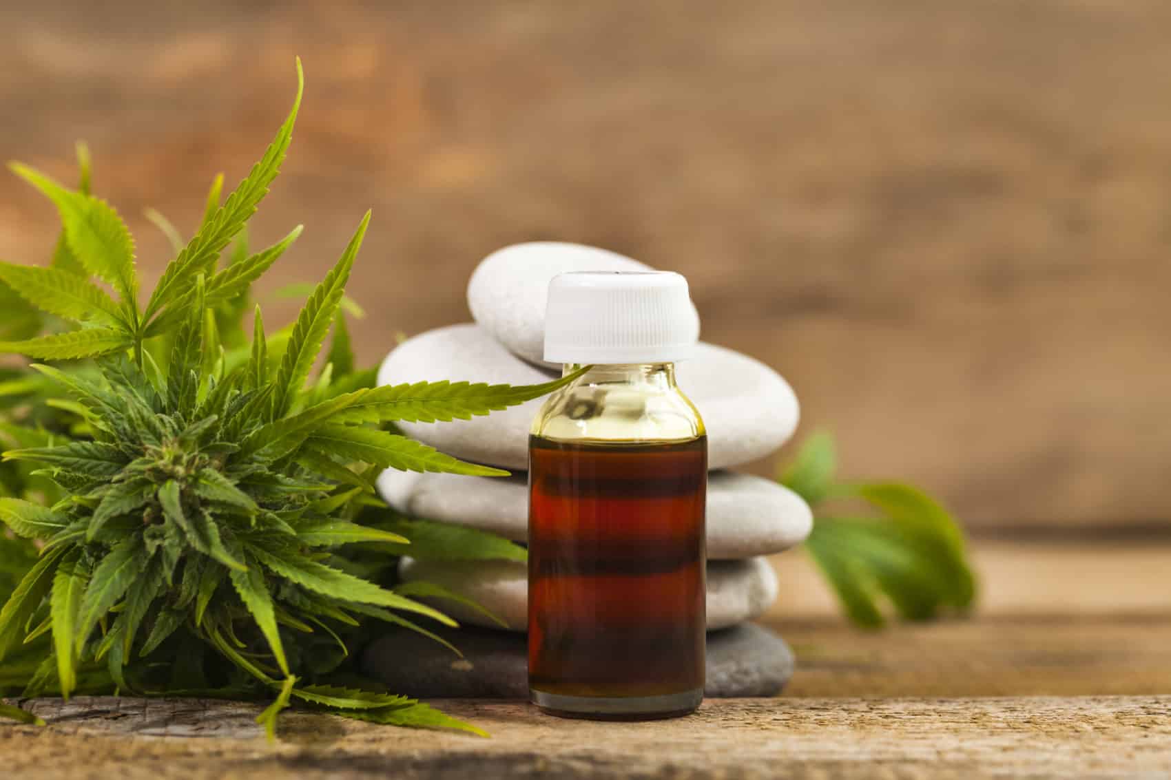 Here’s What You Need to Know about CBD