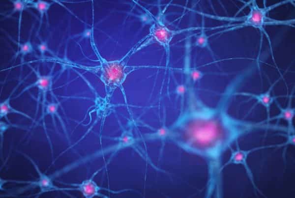 Does Cannabis kill brain cells