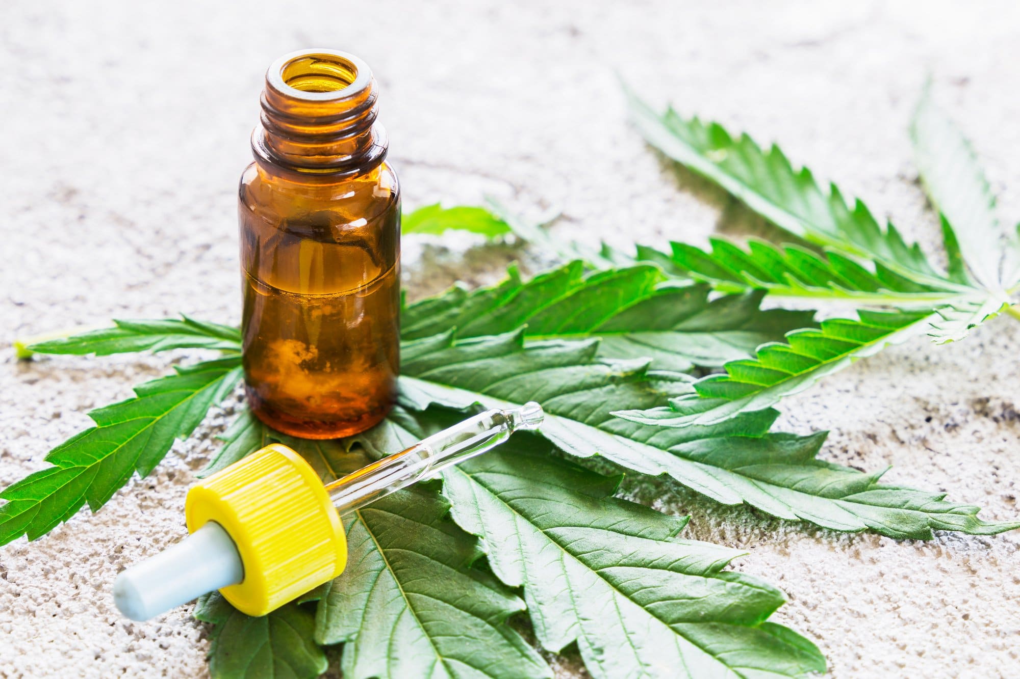 The Truth About CBD Oil: Everything You Want to Know