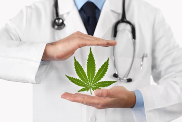 marijuana for chronic pain