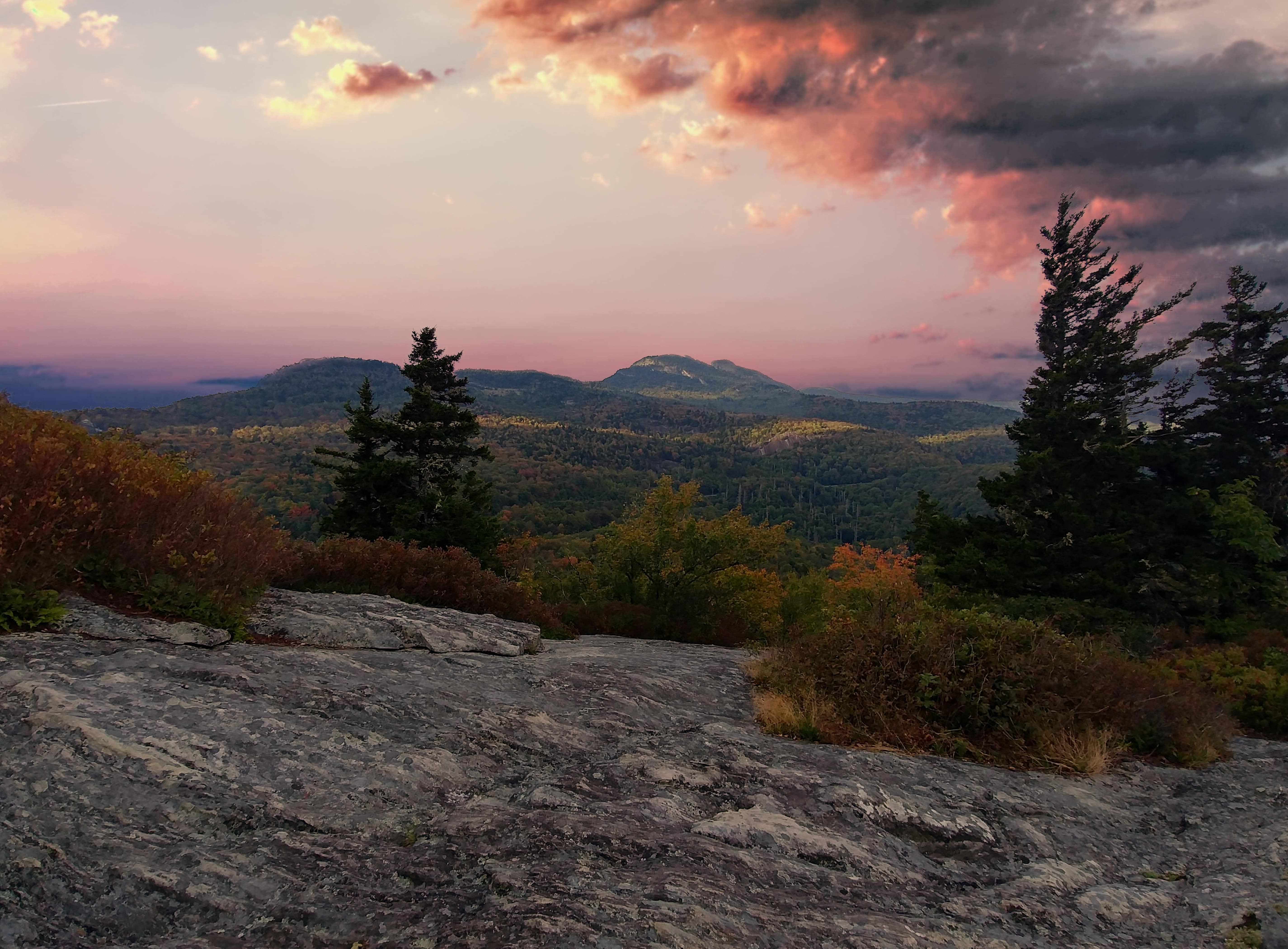 North Carolina Cannabis Consultant