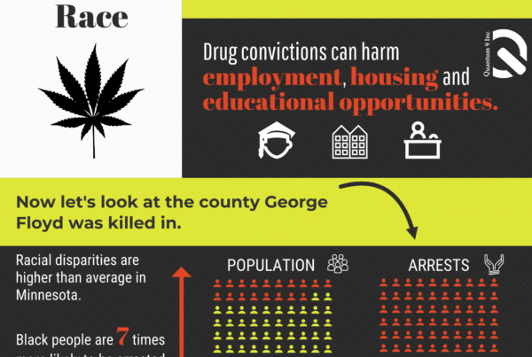 marijuana and race infograph