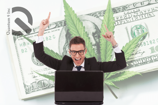 win a cannabis license in california