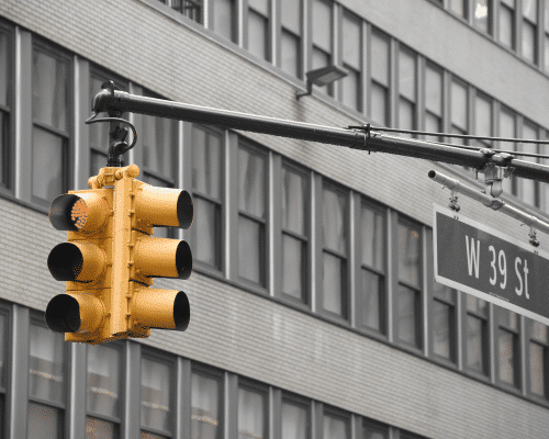 marijuana cultivator license in new york