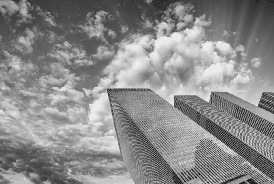 Marijuana Distributor License in New York Cannabis Application Experts